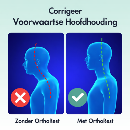 OrthoRest™